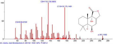 Mass spectrum of Strictamine, an Alkaloid