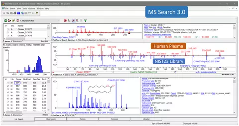 Image of MS Search 3.0 use interface.
