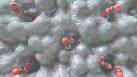 Illustration of molecules permeating the pore structure of a porous solid.