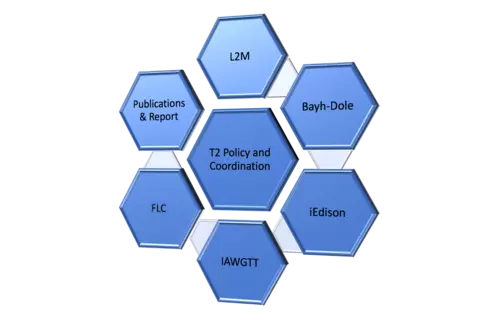 Pentagon illustration of TPO's Policy and Coordination