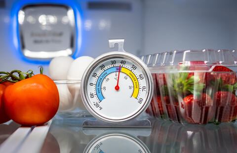 Food safety and nutrition