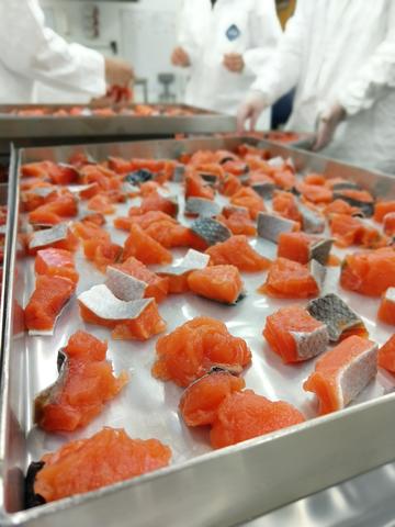 Chopped up pieces of salmon lie in a metal tray in a lab.