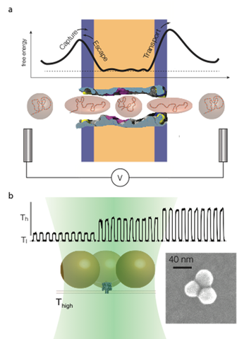 nanopore event