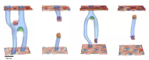 skyrmion tubes