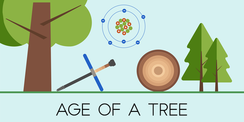 age of a tree disgram