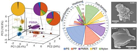 Chemical Characterization of Microplastics