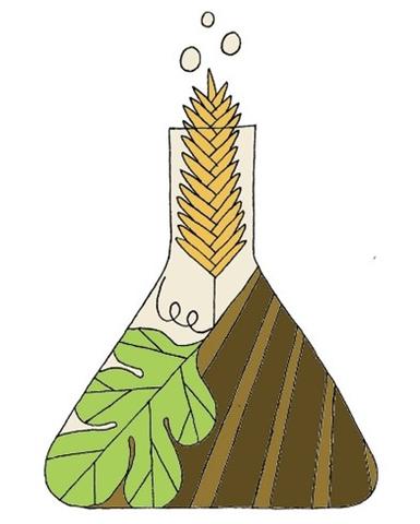 Graphic of an Erlenmeyer flask containing tilled soil, a watermelon leaf, and yellow wheat