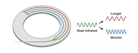 ring microresonators illustration