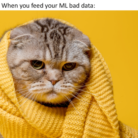 Angry cat. Text reads: "When you feed your ML bad data"