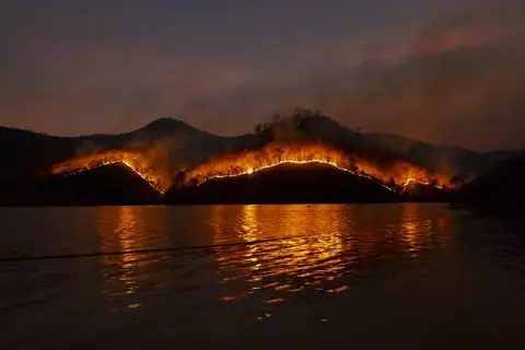 Wildfire