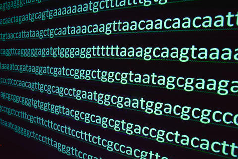 Genetic codes