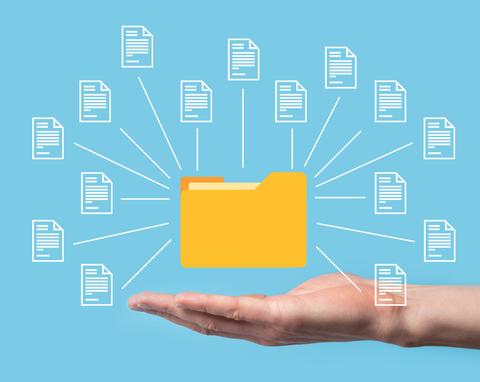 Directory of files