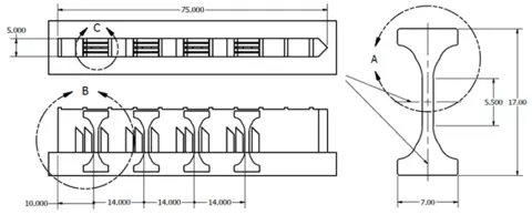 AMB2022-01 specimen