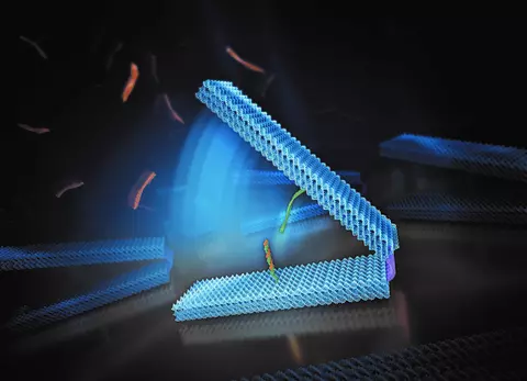 DNA hinge illustration