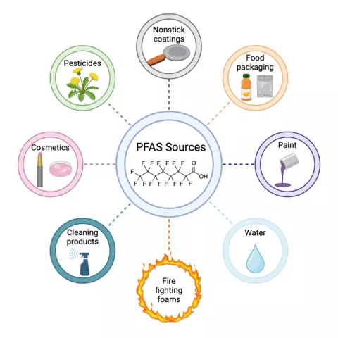 PFAS (per- and polyfluoroalkyl substances) sources include nonstick coatings, food packaging, paint, water, firefighting foams, cleaning products, cosmetics, and pesticides. 