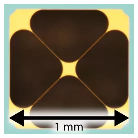 Optical microscope image of a silicon nitride trampoline pressure sensor