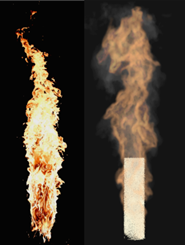 Burning dynamics of a surrogate vegetative fuel