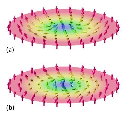 skyrmions