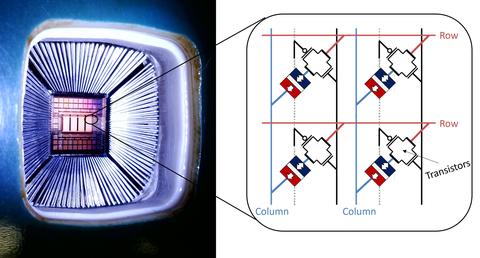 Microscope image of a crossbar array