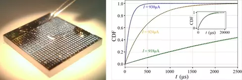 Temporal Chip + Data