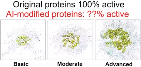 Original proteins have 100% of native activity, but it is unknown what activity will be exhibited by AI-generated protein sequences with varying similarity constraints to the original proteins.  In our work, we have tested the activity of synthetic homologs generated, shown in gray, against what we consider basic, moderate, and advanced AI-design challenges starting with known original protein sequences and structures, in yellow.