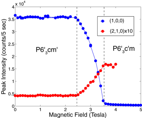 HoMnO3 Field Dependence 