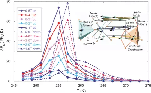 Magnetocaloric Entropy