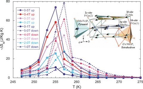 Magnetocaloric Entropy