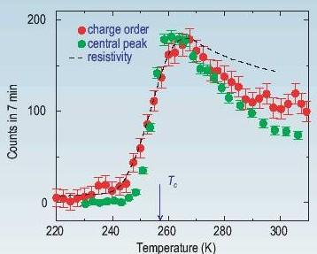 LCMO Polaron T Dependence