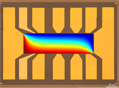 Microscope image shows rectangular shape with bright colors running across horizontally: red at the bottom shading into blue at the top. 