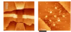 Dopant-based quantum devices in Si 