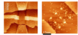 Dopant-based quantum devices in Si 