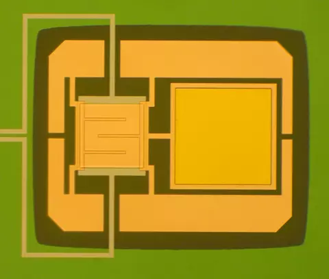 Optical micrograph