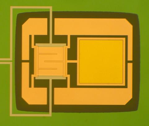 Optical micrograph
