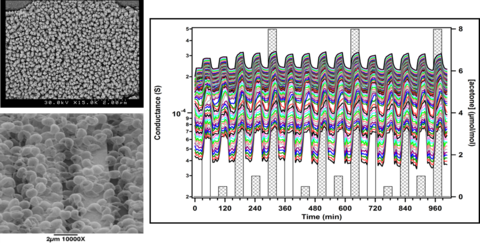 High-area nanomaterials and rapid thermal programming are utilized to produce large datasets from multielement arrays
