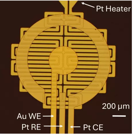 Image of a micrograph of the planar electrochemical sensing platform