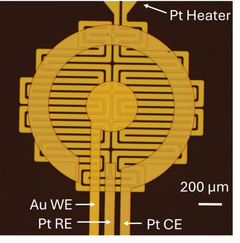 Image of a micrograph of the planar electrochemical sensing platform