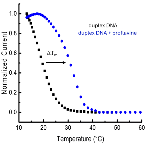 DNA melting curves