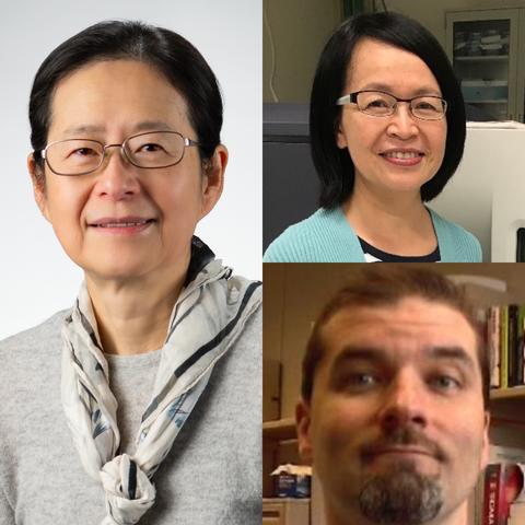 Collage with Lili Wang, Linhua Tian, and Paul DeRose's headshots