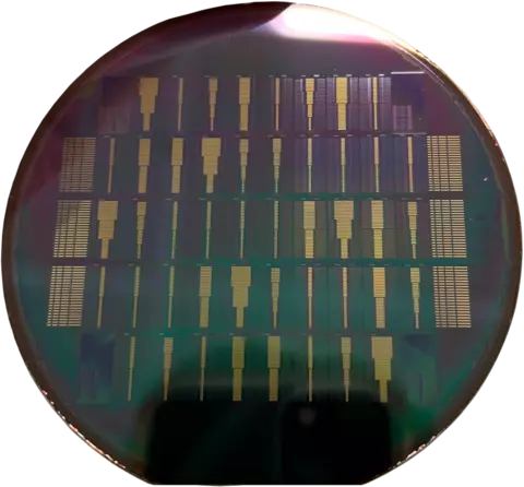 Shiny, dark circular surface has rows of microchips embedded on it. 