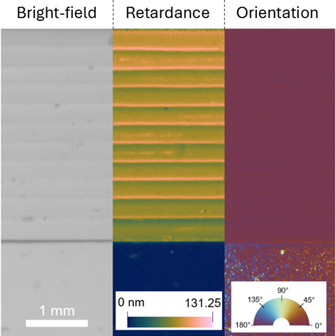 A composite image with three columns. Left: gray bright-field image with faint lines. Middle: striped retardance map in orange and blue with color scale. Right: solid red orientation map with circular orientation guide, indicating angles in degrees.