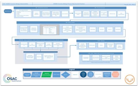 Overview of the first page of the Wildlife Forensic Biology Process Map