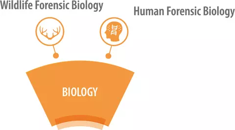 Biology SAC and SC Logos