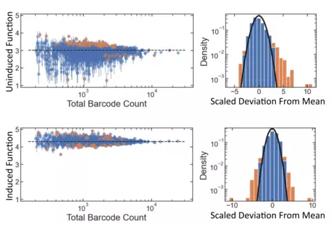 Distributions illustrating replicate measurements with GROQ-seq