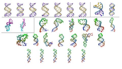 A visual summary of multiple nucleic acid structures with corresponding high precision experimental data.