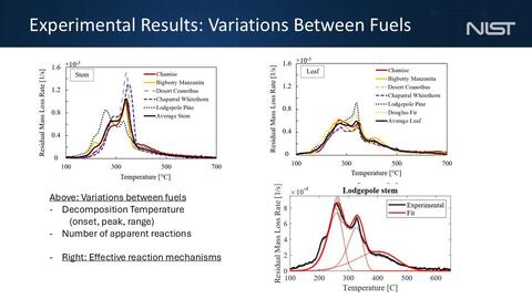 Thermal Decomposition of Vegetative Fuels Paper