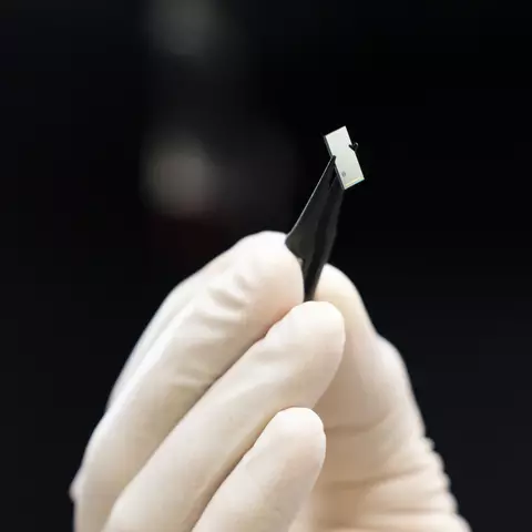 Close-up of a gloved hand holding tweezers that are grasping a tiny rectangular chip. 