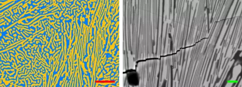 Thresholded SEM image of polished cross-section of alumina and ceria.png