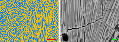 Thresholded SEM image of polished cross-section of alumina and ceria.png