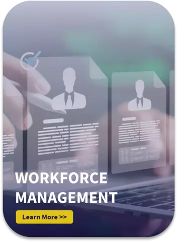 2026 Workforce Management Icon - the image shows someone going through people profiles